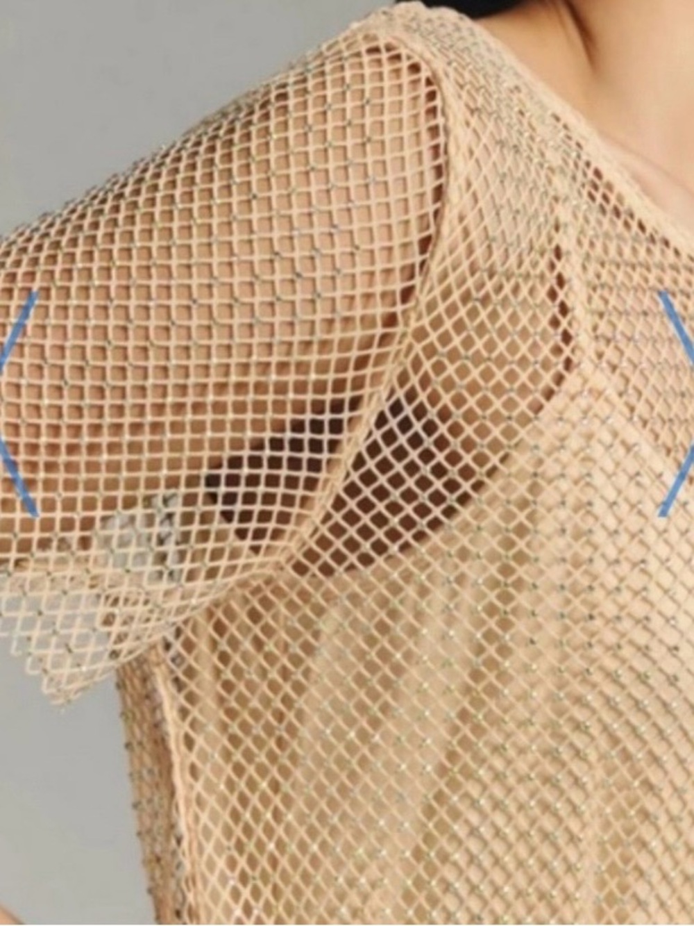 Anthropologie Beige Sheer Mesh Short Sleeve Tee - Picture 3 of 7